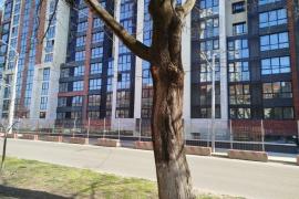 Двухкомнатная в центре города.