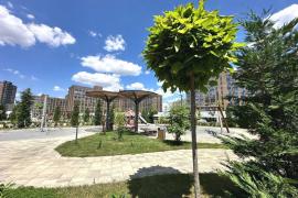 Трёхкомнатная квартира 