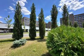 2.к.кв