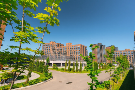 1.к.кв