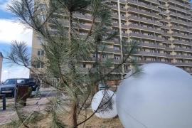 однокомнатная квартира 