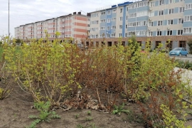 Двухкомнатная квартира 