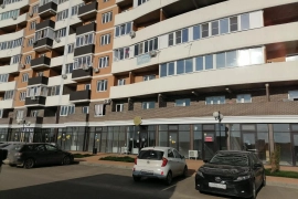 квартира в сданном доме
