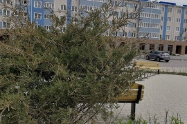 Квартира с ленточной лоджией.