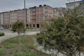Квартира с большой кухней.