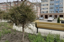 Трехкомнатная квартира Краснодар