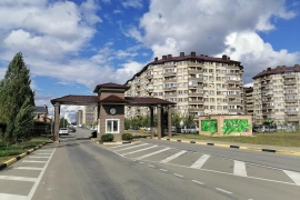 Двухкомнатная с ремонтом