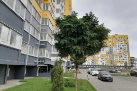 Однокомнатная с ремонтом дом сдан