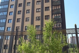 Рядом с домом в пешей доступности три школы и два детских садика.
