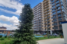 квартира в новом доме