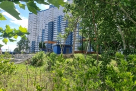 Старт продаж.