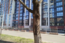 Двухкомнатная в центре города.