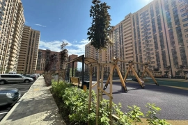Трехкомнатная квартира
