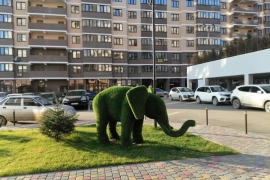 Трёхкомнатная, дом сдан !!!
