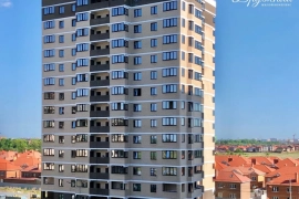 ЖК Дружный