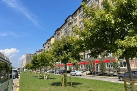 квартира с ремонтом
