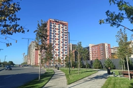 Трехкомнатная квартира 